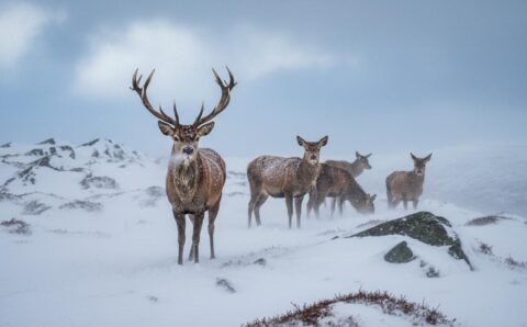 Red Deer Weather: A Practical, Local Guide to Central Alberta’s Skies